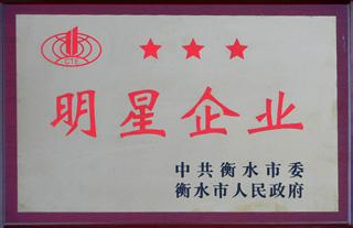 明星企業(yè)